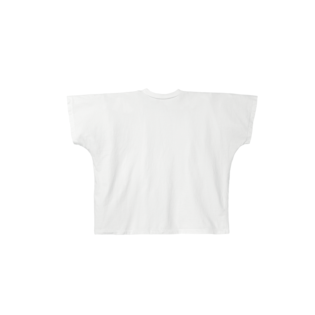 TS-01